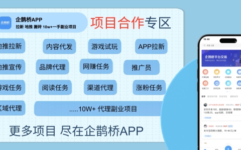 怎么加入广告联盟平台赚钱